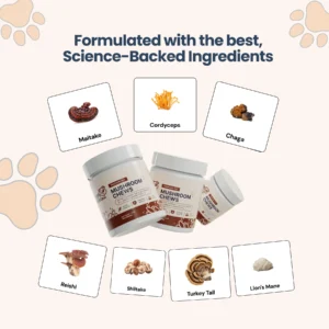 Premium Pet Mushroom Chews-Lipomas Relief Supplement for Dogs