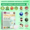 Healrize NAD+ Berberine 6-in-1 All-in-One Body-Shaping Nano Microneedle Patch
