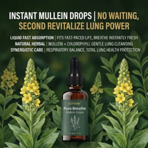 Lotmay® Pure Breathe Mullein Drops