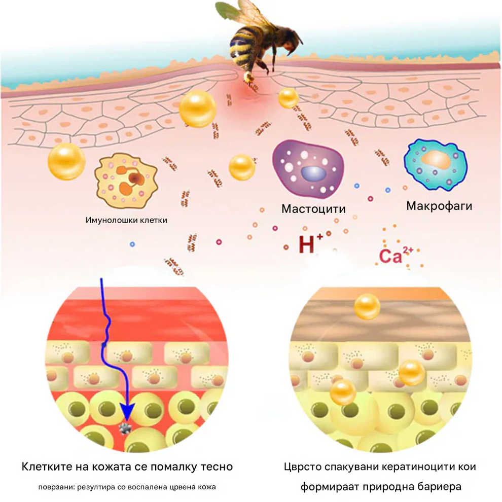 Zvoevo Royal Jelly Skin Spray