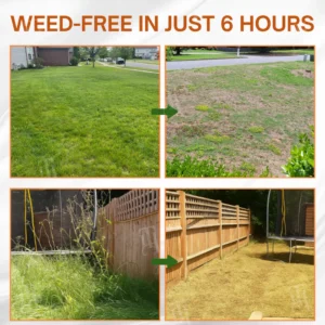 AEXZR® 2-in-1 Max Power Herbicide image AEXZR® 2-in-1 Max Power Herbicide