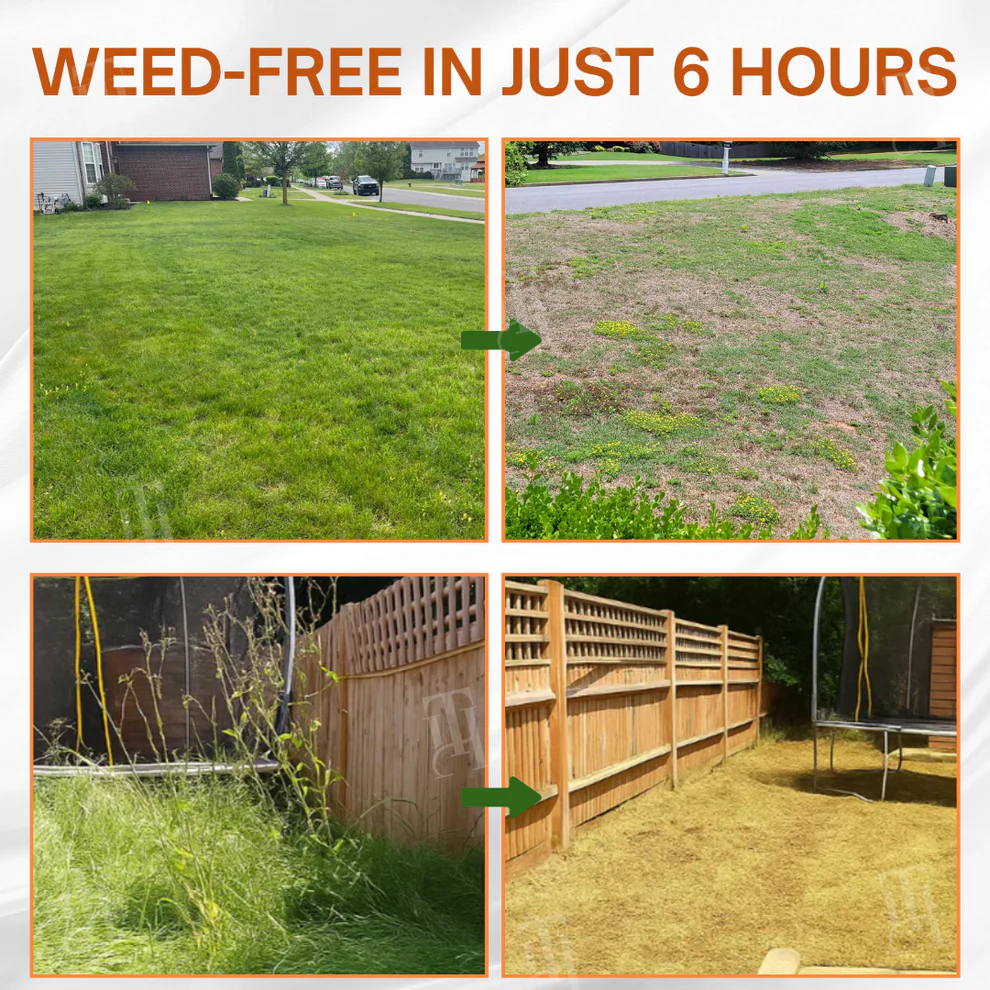 AEXZR® 2-in-1 Max Power Herbicide image AEXZR® 2-in-1 Max Power Herbicide