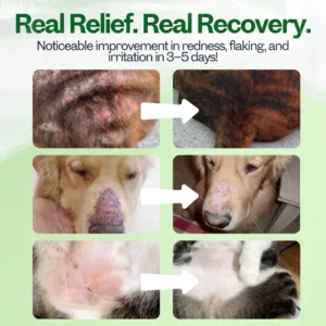 Lotmay® 3 in 1 PhytoBarrier Pet Skin and Coat Care Spray