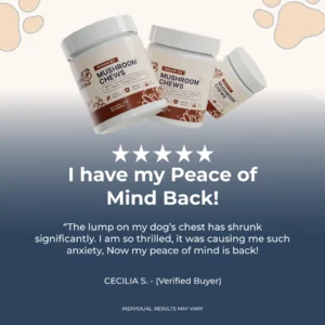 Premium Pet Mushroom Chews-Lipomas Relief Supplement for Dogs