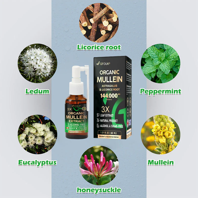 GFOUK® 3X Concentrated Mullein Lung Cleanse Spray image GFOUK® 3X Concentrated Mullein Lung Cleanse Spray
