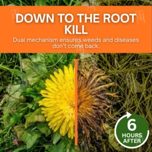 AEXZR® 2-in-1 Max Power Herbicide image AEXZR® 2-in-1 Max Power Herbicide