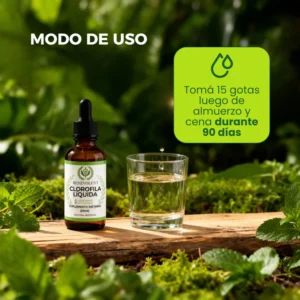 Benevolent Chlorophyll | Say goodbye to bloating today