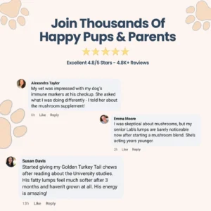 Premium Pet Mushroom Chews-Lipomas Relief Supplement for Dogs