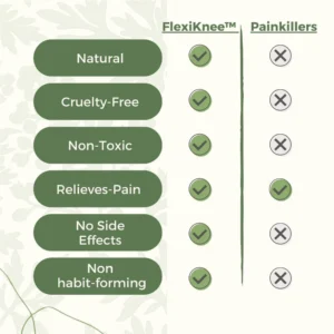 LIMETOW®Natural Knee Pain Patches