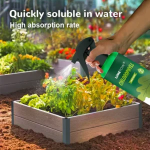 LIMETOW® Chlorophyll Spray