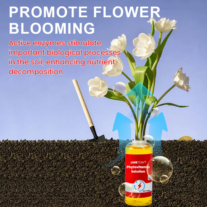 LIMETOW® Weed Killer Spray image LIMETOW® Weed Killer Spray - Image 11