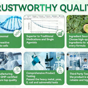 GFOUK Moringa Berberine NAD+ 10-in-1 Advanced Nano Microneedle Patch