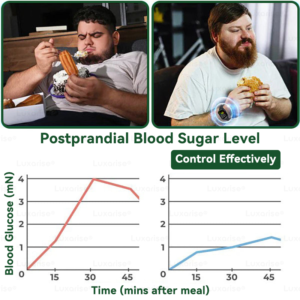 Luxarise Moringa & Berberine 10-in-1 Advanced Nano Microneedle Patch image Luxarise Moringa & Berberine 10-in-1 Advanced Nano Microneedle Patch