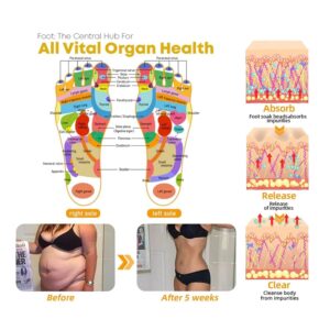 Bee Venom Lymphatic Drainage & Sliming Patches image Bee Venom Lymphatic Drainage & Sliming Patches