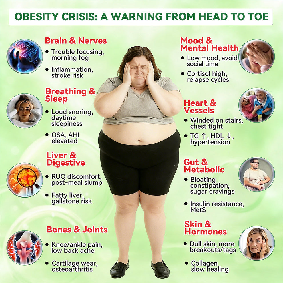 Purelora Berberine 8-IN-1 Slim & Healthy Serum Nano Microneedle Patch image Purelora Berberine 8-IN-1 Slim & Healthy Serum Nano Microneedle Patch