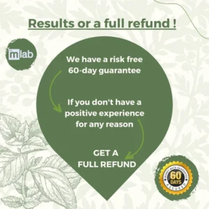 LIMETOW®Natural Knee Pain Patches