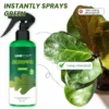 LIMETOW® Chlorophyll Spray image LIMETOW® Chlorophyll Spray