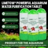 LIMETOW® Powerful Aquarium Water Purification Tablet image LIMETOW® Powerful Aquarium Water Purification Tablet