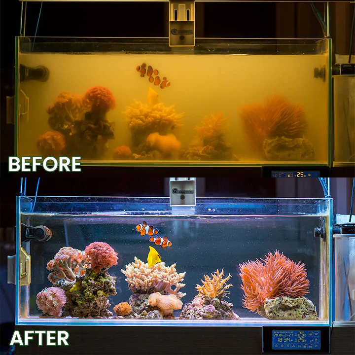 LIMETOW® Powerful Aquarium Water Purification Tablet image LIMETOW® Powerful Aquarium Water Purification Tablet