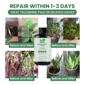 LIMETOW® House Plant Food image LIMETOW® House Plant Food