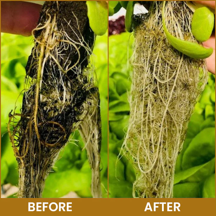 LIMETOW® Bone Meal Powder image LIMETOW® Bone Meal Powder