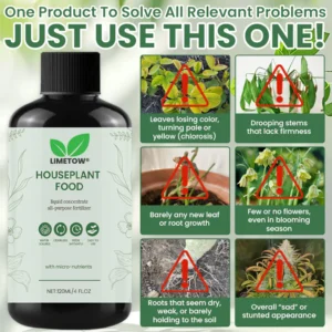 LIMETOW® House Plant Food image LIMETOW® House Plant Food