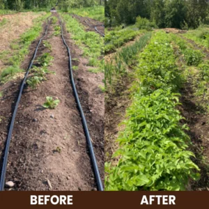 LIMETOW® Soil Activator image LIMETOW® Soil Activator