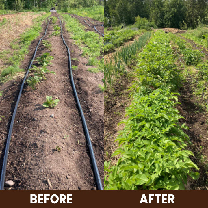 LIMETOW® Soil Activator image LIMETOW® Soil Activator - Image 12