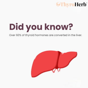 ThyroHerb™ Thyroid & Liver Support Complex image ThyroHerb™ Thyroid & Liver Support Complex