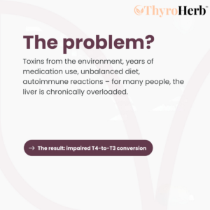 ThyroHerb™ Thyroid & Liver Support Complex image ThyroHerb™ Thyroid & Liver Support Complex