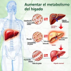 GeeLemon Advanced Nano Microneedling Patch 10 in 1 with Moringa Berberine and NAD+ image GeeLemon Advanced Nano Microneedling Patch 10 in 1 with Moringa Berberine and NAD+