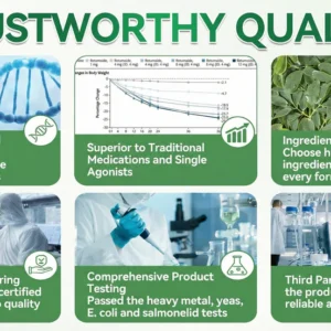 Evolvion Moringa Berberine NAD+ 10-in-1 Advanced Nano Microneedle Patch