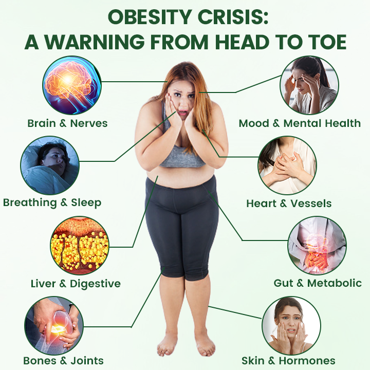 Timilk® NAD+ 10-in-1 Nano Microneedle Patch image Timilk® NAD+ 10-in-1 Nano Microneedle Patch