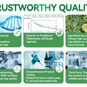 Pureluxo® Moringa Berberine NAD+ 10-in-1 Advanced Nano Microneedle Patch