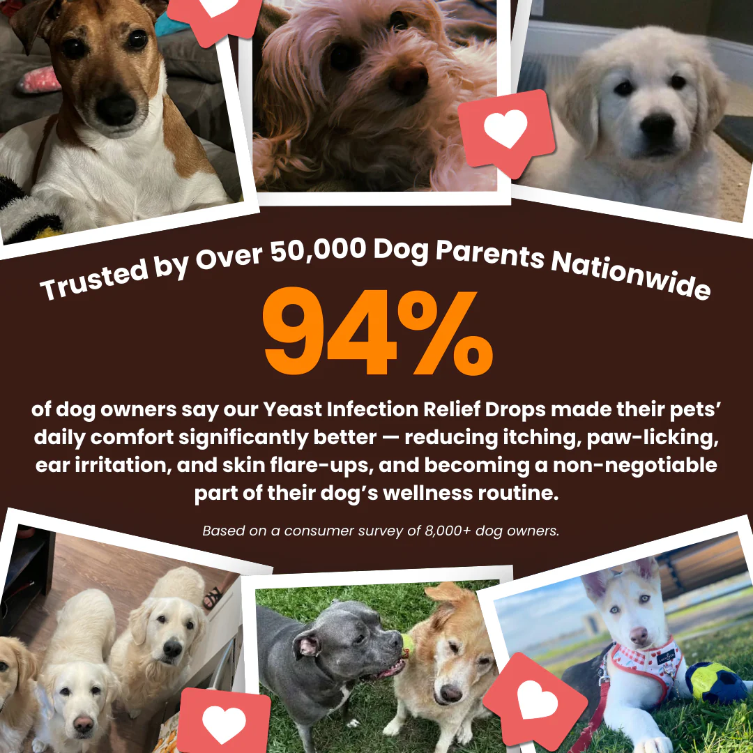 NaturPets™ Ear & Skin Yeast Control