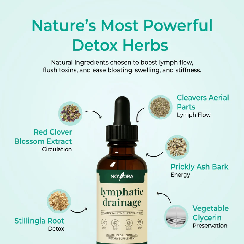 Novora - Lymphatic Wellness Drops image Novora - Lymphatic Wellness Drops