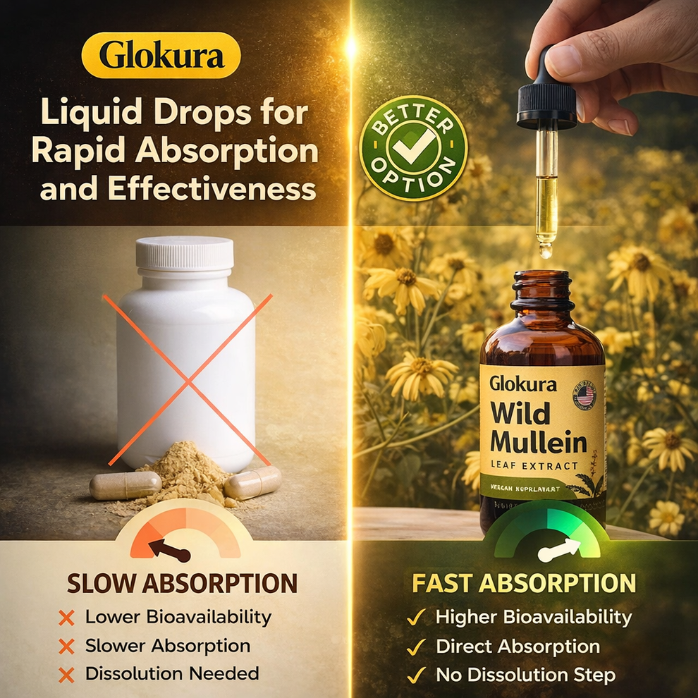 Glokura Maximum Potency Wild Mullein Drops