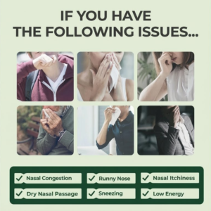 Healrize® RhiniThera Nasal Spray image Healrize® BioActive Herbal Sinus Mist - Sinus & Hay Fever Relief Spray