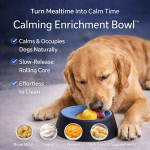 BBOJI CalmPup Anti-Anxiety Slow Feeder Bowl