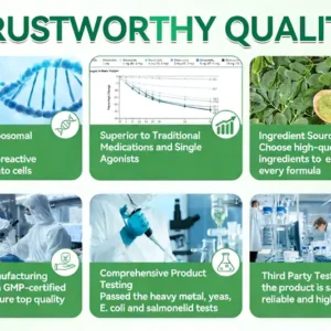 ODEIUN™ Moringa Berberine NAD+ 10-in-1 Nano Microneedle Patch