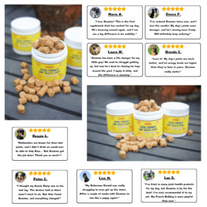 Zoomies Sick of Wasting Money on Cheap Joint Chews That Do Nothing? You Need A Better Formula.