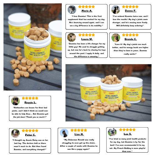 Zoomies Sick of Wasting Money on Cheap Joint Chews That Do Nothing? You Need A Better Formula.