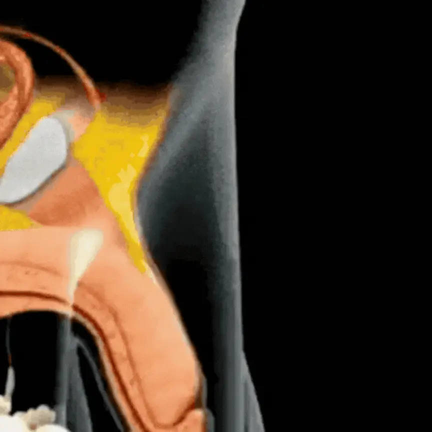 Dominex™ | For a firm erection in just 5 minutes!