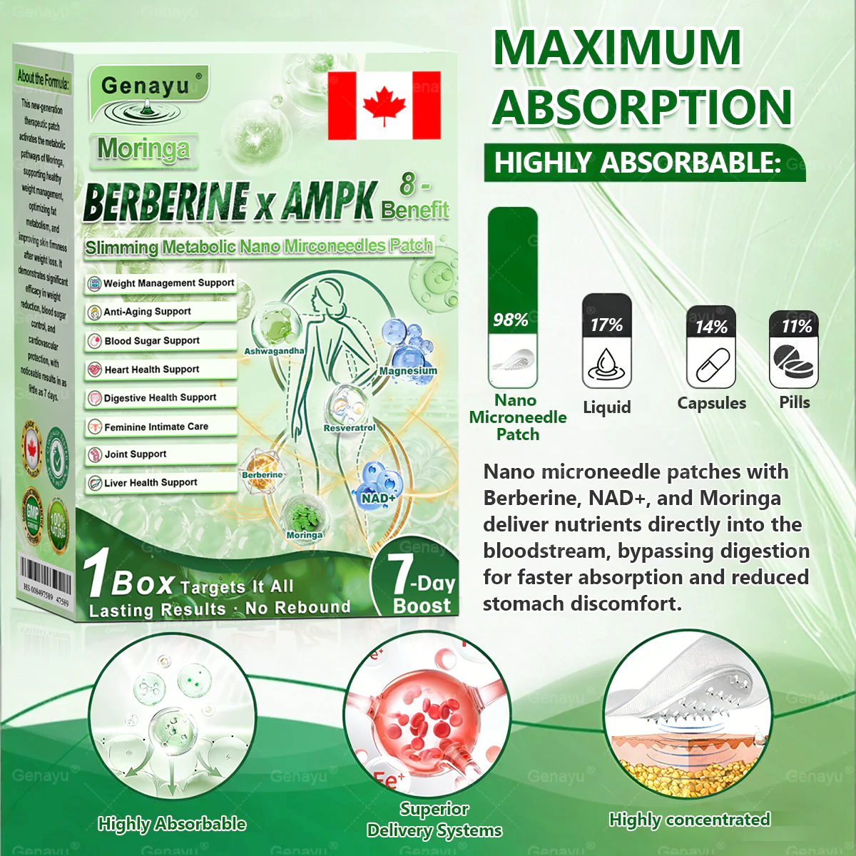 Genayu® Moringa × Berberine × AMPK Nano Microneedle Patch