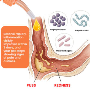 RZXEA™ EarEase Herbal Drops