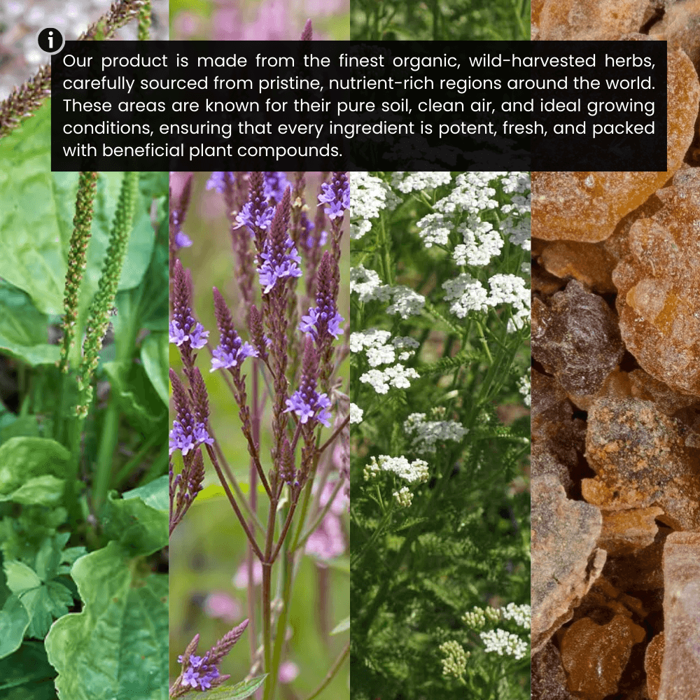 Risevitals Alpha Hormone Drops image Alpha Hormone