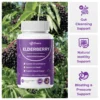Elvera Gut Support Complex with Elderberry, Zinc & Vitamin C