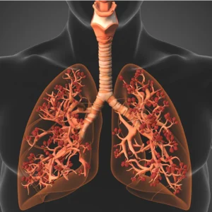 Heradem™ Mullein Lung Drops | Removes 87% of Lung Mucus in 5 Days - Breathe Freely and Effortlessly Again