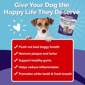 ProDenta (Dental Health)