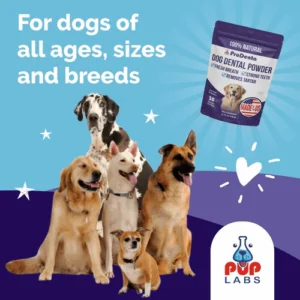 ProDenta (Dental Health)